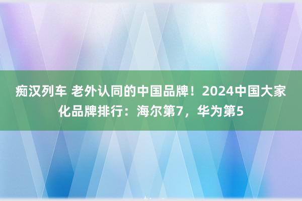 痴汉列车 老外认同的中国品牌！2024中国大家化品牌排行：海尔第7，华为第5