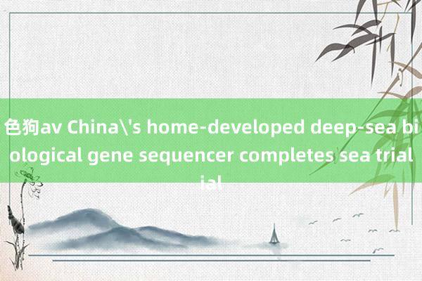 色狗av China's home-developed deep-sea biological gene sequencer completes sea trial