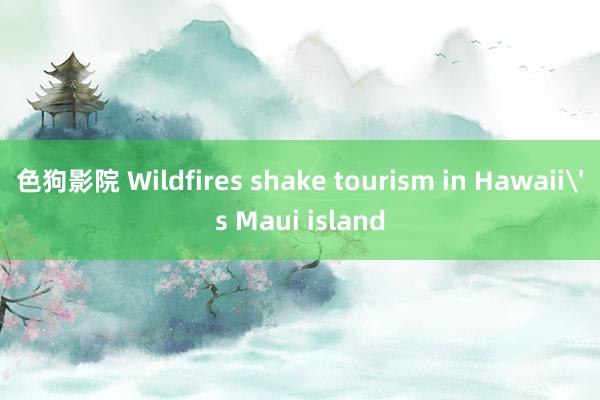 色狗影院 Wildfires shake tourism in Hawaii's Maui island