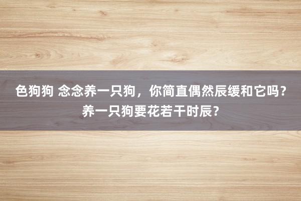 色狗狗 念念养一只狗，你简直偶然辰缓和它吗？养一只狗要花若干时辰？