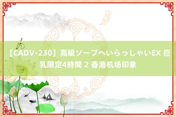 【CADV-230】高級ソープへいらっしゃいEX 巨乳限定4時間 2 香港机场印象