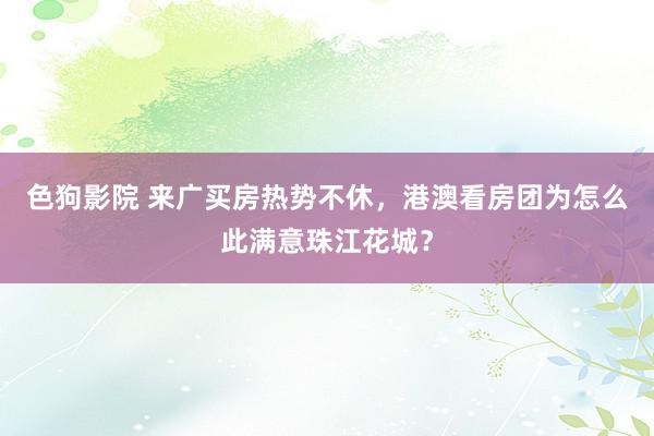 色狗影院 来广买房热势不休，港澳看房团为怎么此满意珠江花城？