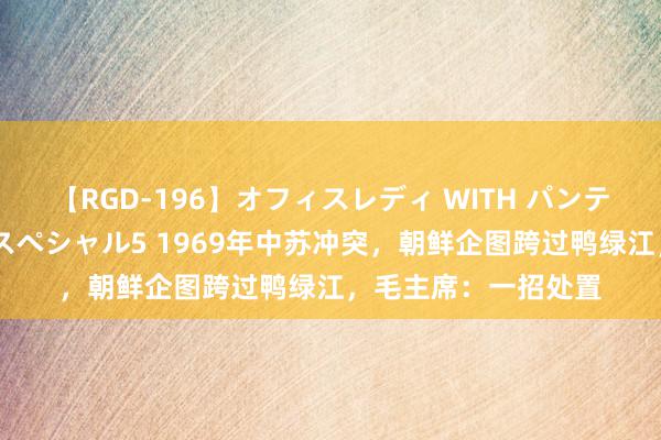 【RGD-196】オフィスレディ WITH パンティーストッキング スペシャル5 1969年中苏冲突，朝鲜企图跨过鸭绿江，毛主席：一招处置