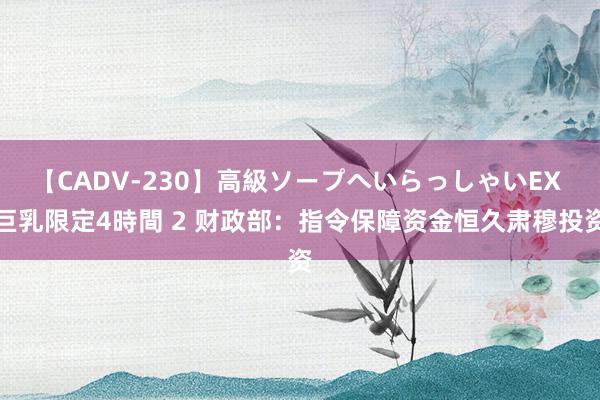 【CADV-230】高級ソープへいらっしゃいEX 巨乳限定4時間 2 财政部：指令保障资金恒久肃穆投资