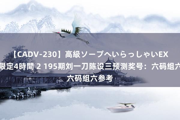 【CADV-230】高級ソープへいらっしゃいEX 巨乳限定4時間 2 195期刘一刀陈设三预测奖号：六码组六参考