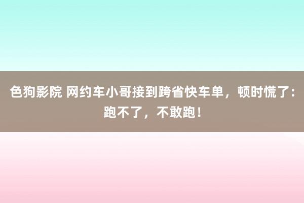 色狗影院 网约车小哥接到跨省快车单，顿时慌了：跑不了，不敢跑！