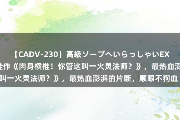 【CADV-230】高級ソープへいらっしゃいEX 巨乳限定4時間 2 口碑佳作《肉身横推！你管这叫一火灵法师？》，最热血澎湃的片断，顺眼不狗血！