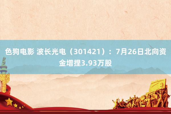 色狗电影 波长光电（301421）：7月26日北向资金增捏3.93万股