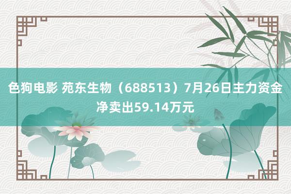 色狗电影 苑东生物（688513）7月26日主力资金净卖出59.14万元