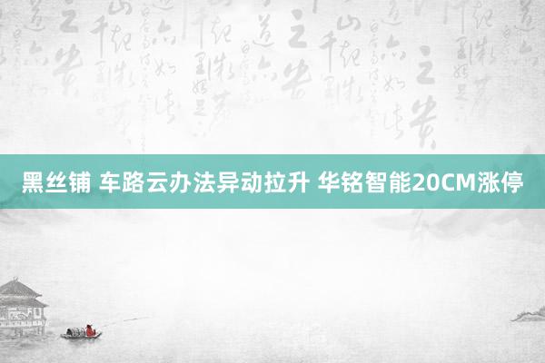 黑丝铺 车路云办法异动拉升 华铭智能20CM涨停