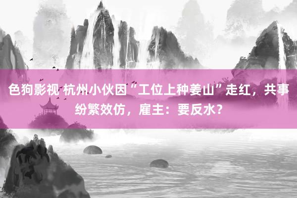 色狗影视 杭州小伙因“工位上种姜山”走红，共事纷繁效仿，雇主：要反水？