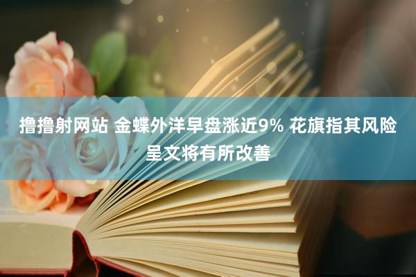 撸撸射网站 金蝶外洋早盘涨近9% 花旗指其风险呈文将有所改善