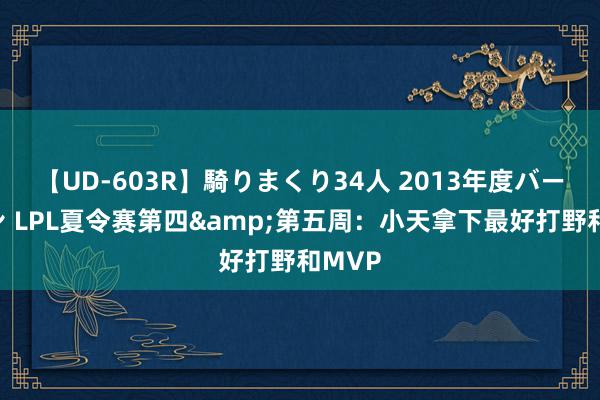 【UD-603R】騎りまくり34人 2013年度バージョン LPL夏令赛第四&第五周：小天拿下最好打野和MVP