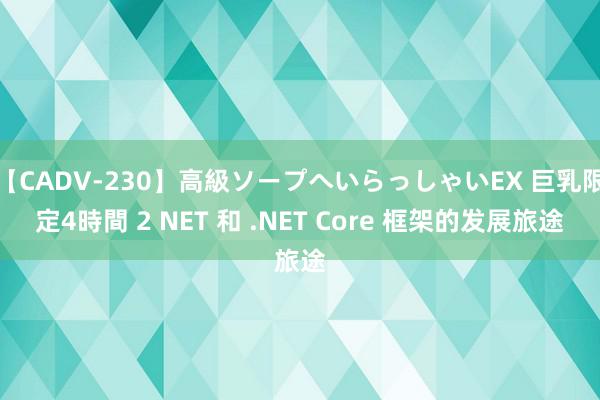 【CADV-230】高級ソープへいらっしゃいEX 巨乳限定4時間 2 NET 和 .NET Core 框架的发展旅途