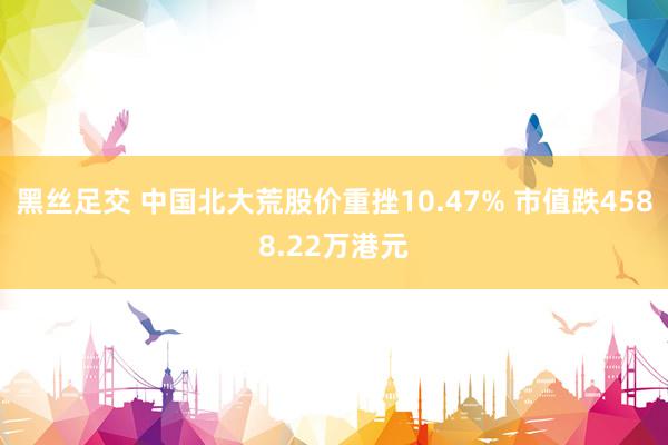 黑丝足交 中国北大荒股价重挫10.47% 市值跌4588.22万港元