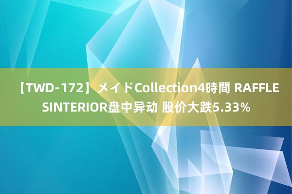 【TWD-172】メイドCollection4時間 RAFFLESINTERIOR盘中异动 股价大跌5.33%