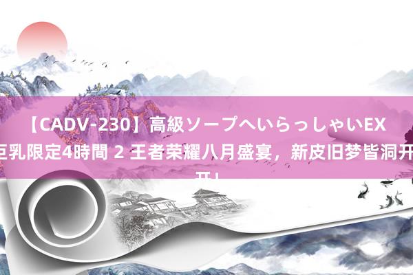 【CADV-230】高級ソープへいらっしゃいEX 巨乳限定4時間 2 王者荣耀八月盛宴，新皮旧梦皆洞开！