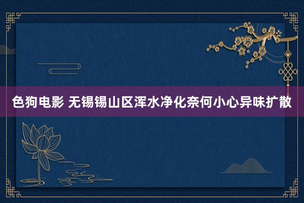 色狗电影 无锡锡山区浑水净化奈何小心异味扩散