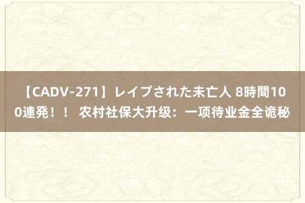 【CADV-271】レイプされた未亡人 8時間100連発！！ 农村社保大升级：一项待业金全诡秘