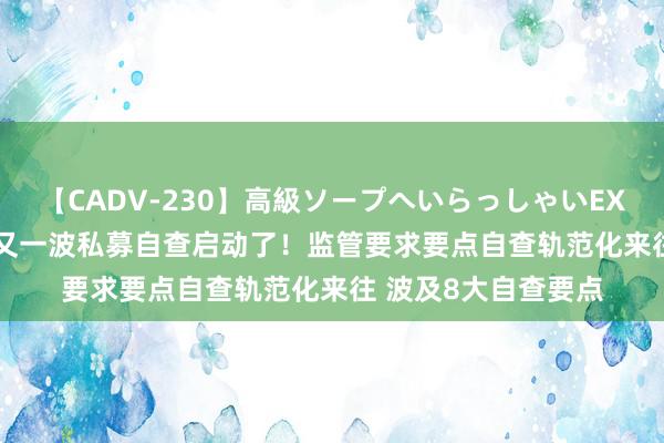 【CADV-230】高級ソープへいらっしゃいEX 巨乳限定4時間 2 又一波私募自查启动了！监管要求要点自查轨范化来往 波及8大自查要点