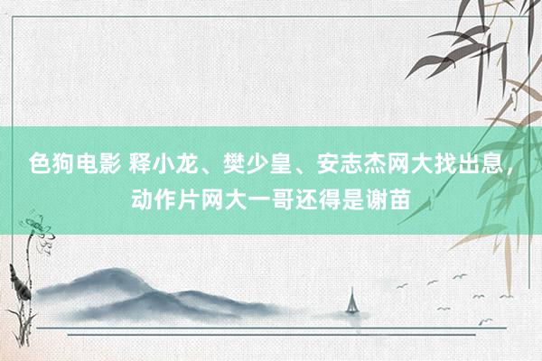 色狗电影 释小龙、樊少皇、安志杰网大找出息，动作片网大一哥还得是谢苗