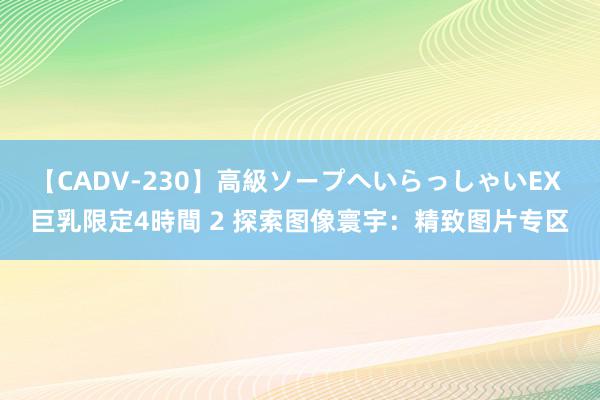 【CADV-230】高級ソープへいらっしゃいEX 巨乳限定4時間 2 探索图像寰宇：精致图片专区