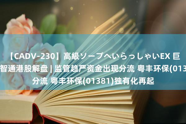 【CADV-230】高級ソープへいらっしゃいEX 巨乳限定4時間 2 智通港股解盘 | 监管趋严资金出现分流 粤丰环保(01381)独有化再起