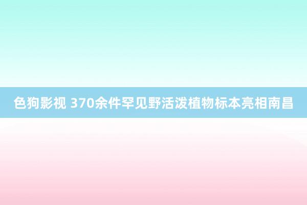 色狗影视 370余件罕见野活泼植物标本亮相南昌