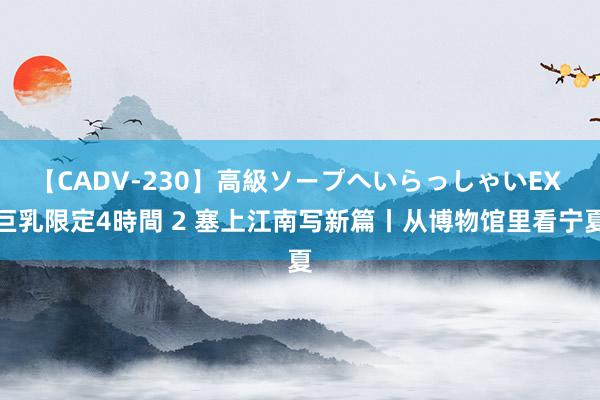 【CADV-230】高級ソープへいらっしゃいEX 巨乳限定4時間 2 塞上江南写新篇丨从博物馆里看宁夏