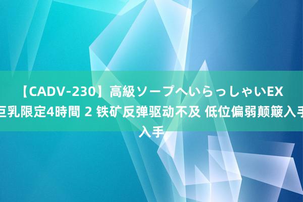 【CADV-230】高級ソープへいらっしゃいEX 巨乳限定4時間 2 铁矿反弹驱动不及 低位偏弱颠簸入手