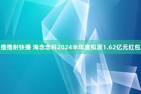 撸撸射快播 海念念科2024半年度拟派1.62亿元红包