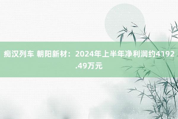 痴汉列车 朝阳新材：2024年上半年净利润约4192.49万元