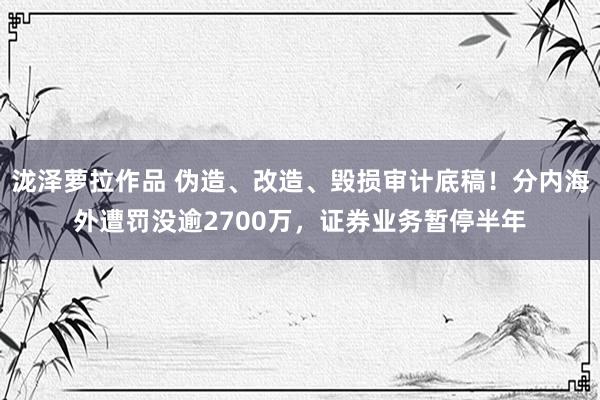 泷泽萝拉作品 伪造、改造、毁损审计底稿！分内海外遭罚没逾2700万，证券业务暂停半年