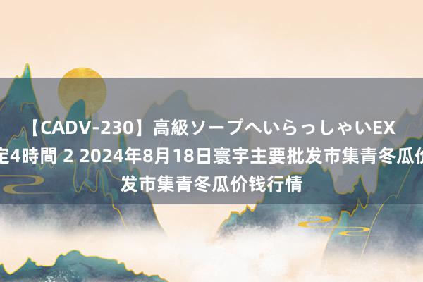 【CADV-230】高級ソープへいらっしゃいEX 巨乳限定4時間 2 2024年8月18日寰宇主要批发市集青冬瓜价钱行情