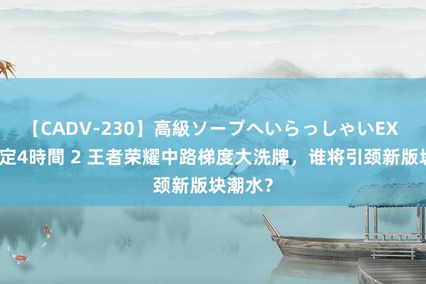 【CADV-230】高級ソープへいらっしゃいEX 巨乳限定4時間 2 王者荣耀中路梯度大洗牌，谁将引颈新版块潮水？