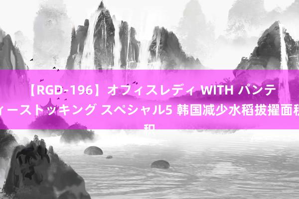 【RGD-196】オフィスレディ WITH パンティーストッキング スペシャル5 韩国减少水稻拔擢面积