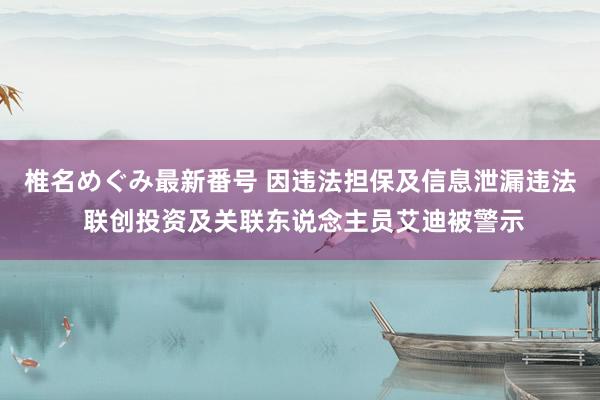 椎名めぐみ最新番号 因违法担保及信息泄漏违法 联创投资及关联东说念主员艾迪被警示