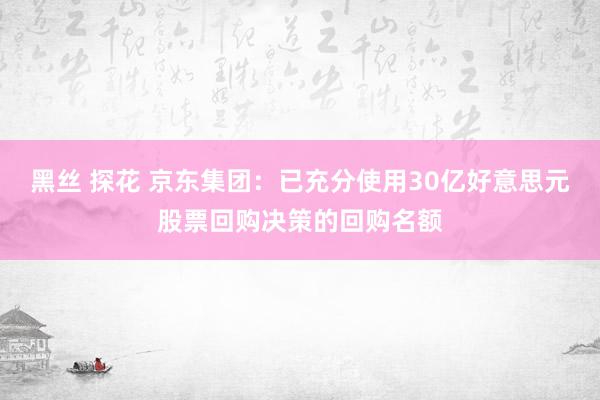 黑丝 探花 京东集团：已充分使用30亿好意思元股票回购决策的回购名额