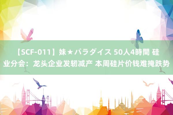 【SCF-011】妹★パラダイス 50人4時間 硅业分会：龙头企业发轫减产 本周硅片价钱难掩跌势