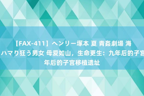 【FAX-411】ヘンリー塚本 夏 青姦劇場 海・山・川 ハマり狂う男女 母爱如山，生命更生：九年后的子宫移植遗址